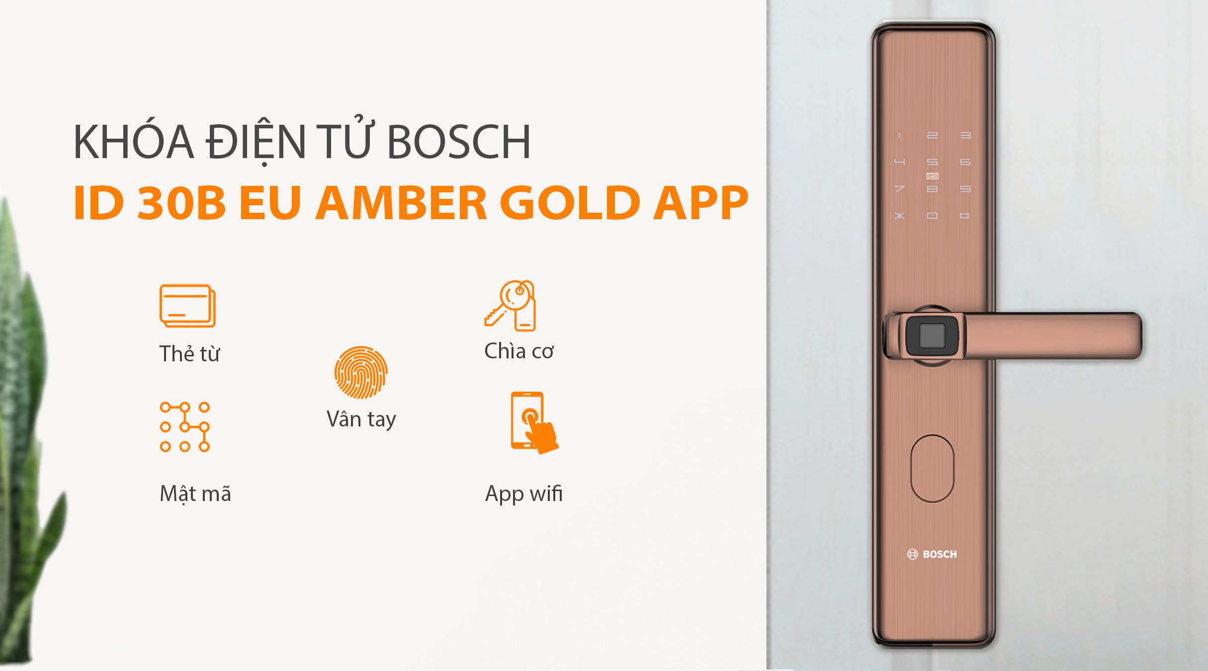 Cách mở khóa điện tử BOSCH ID 30B EU AMBER GOLD APP